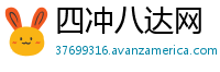 四冲八达网
